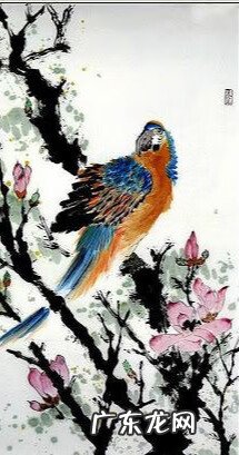 梅花上有喜鹊的寓意 梅花喜鹊图案风水禁忌