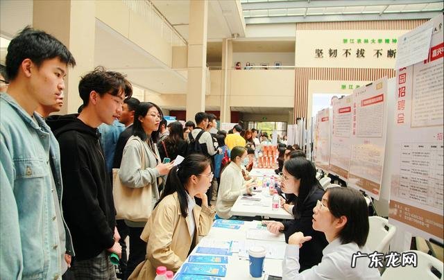 四级分数占比 2020年四级分数线