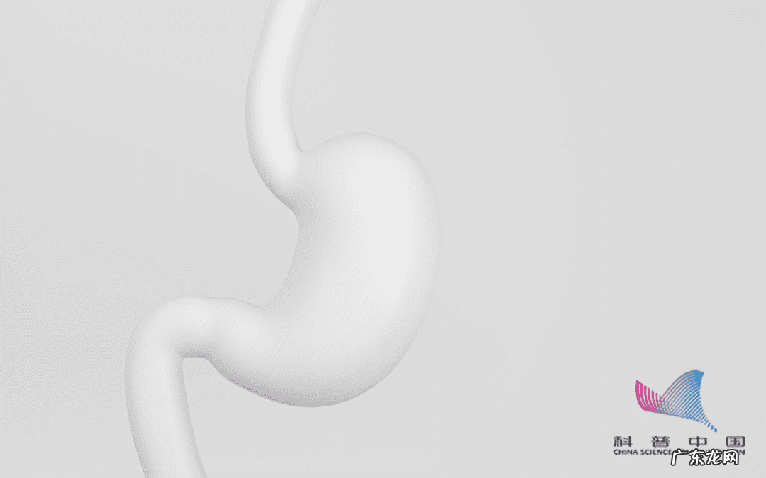 每天喝啤酒好不好 吃完饭喝啤酒好吗