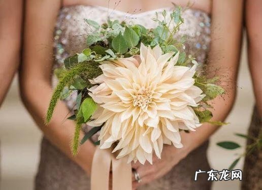 蟹爪兰摆放的风水讲究 蟹爪兰风水上有忌讳吗