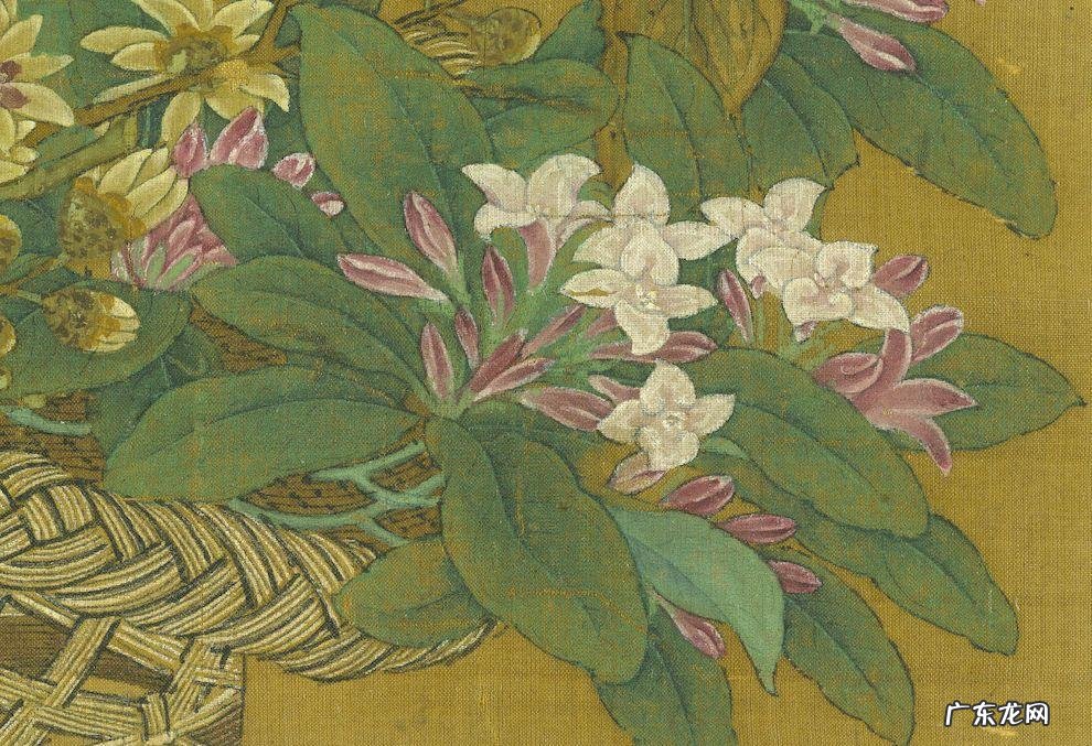 蟹爪兰摆放的风水讲究 蟹爪兰风水上有忌讳吗