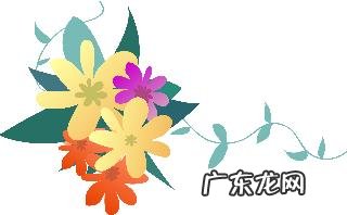 军事夏令营哪个机构好 南京军事夏令营有哪些