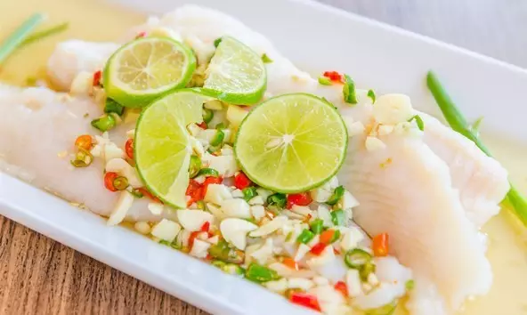 东海龙舌 龙舌鱼