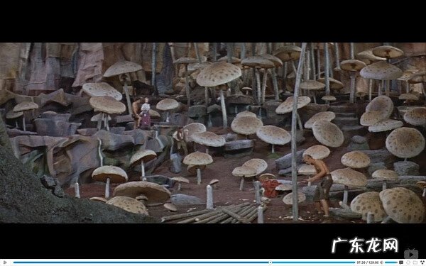 神秘岛2演员表 地心游记神秘岛2