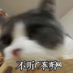 万万想不到奶茶 万万想不到的成语