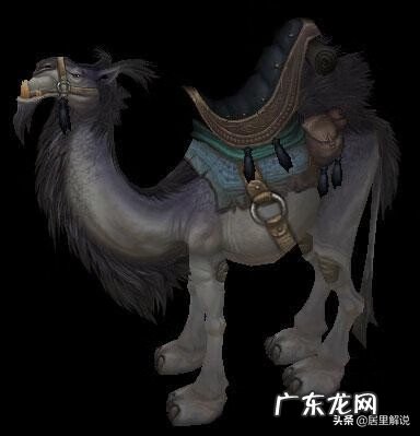 被感染的始祖幼龙缰绳 紫色始祖幼龙的缰绳怎么获得