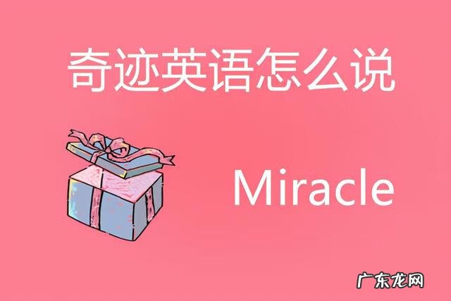 奇迹英语智能记忆有手机版吗 奇迹英语智能记忆系统