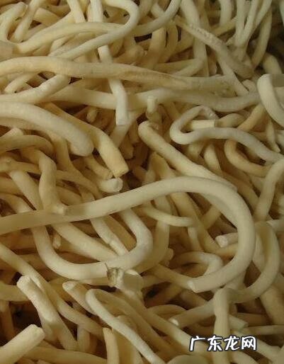 通草的用途与功效 通草的作用与功效