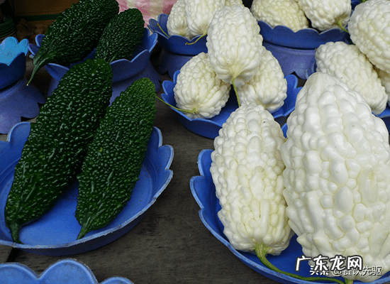 白玉苦瓜散文 白玉苦瓜和苦瓜的区别