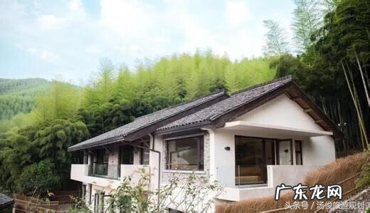 搬仓库有风水吗 车库前种什么树风水好