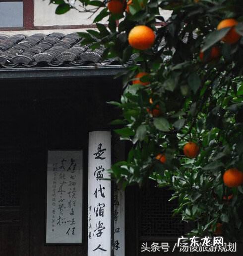 搬仓库有风水吗 车库前种什么树风水好