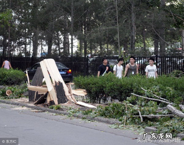 风水谚语100条 风水的笑话