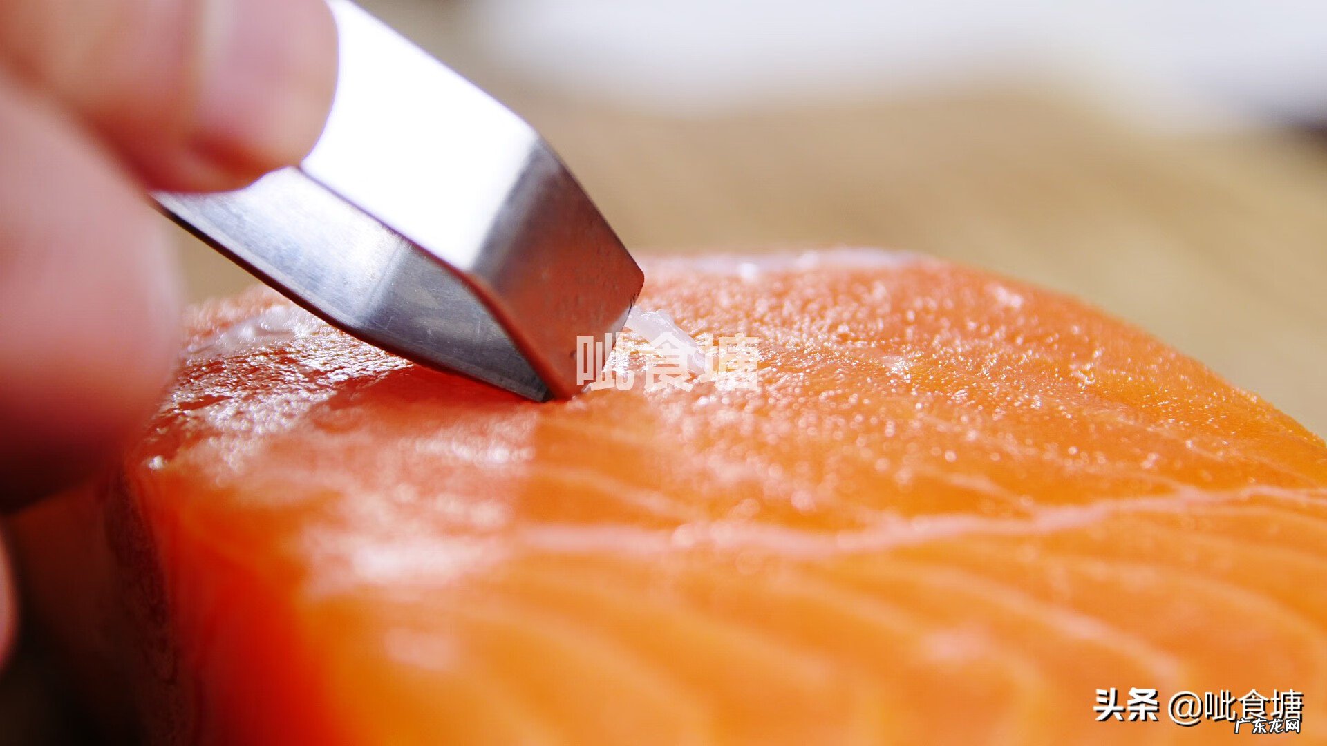 三文鱼的最佳做法 三文鱼的做法大全家常做法