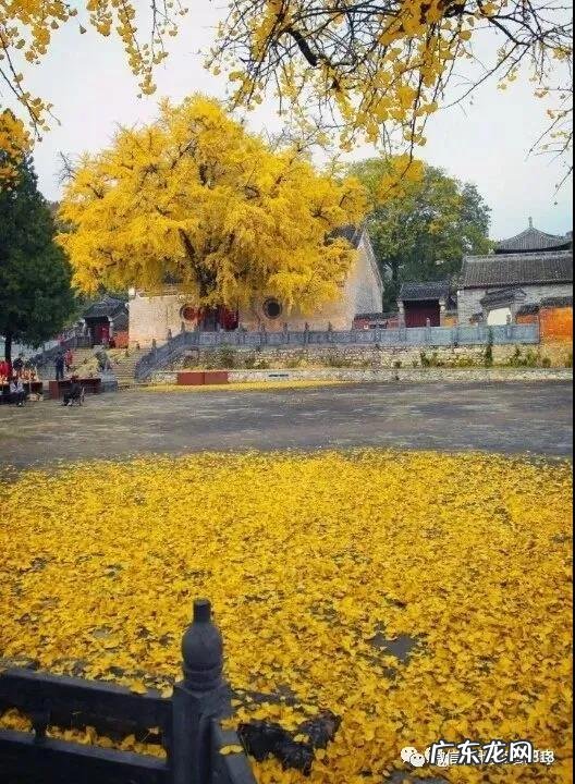 李居明风水之道pdf 风水大师李纯文