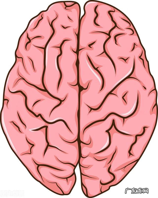 开发儿童右脑智力的10个方法 儿童右脑开发课程