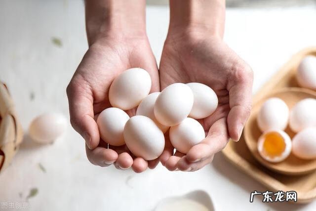 开发儿童右脑智力的10个方法 儿童右脑开发课程