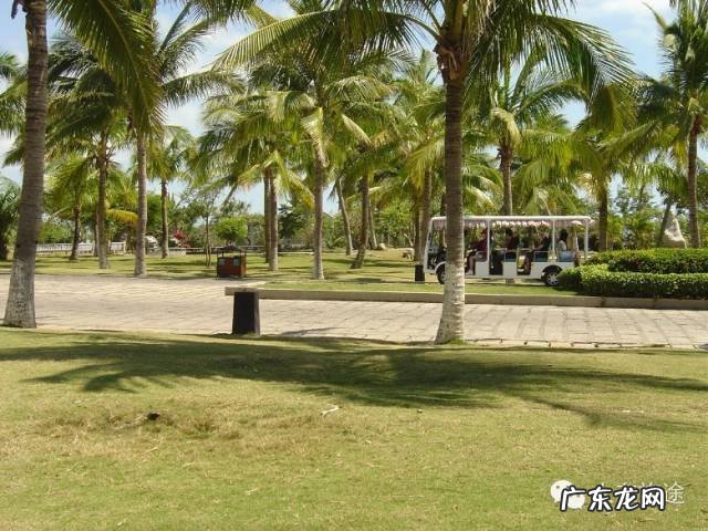 如何看龙脉 风水尖峰岭龙脉图解 山势