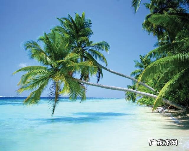 如何看龙脉 风水尖峰岭龙脉图解 山势