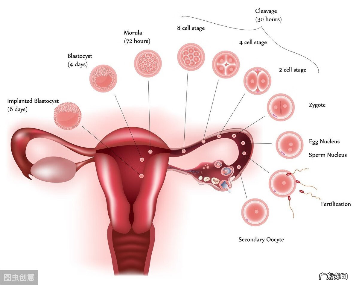 月经期间戴套可以同房吗 月经期间同房有那些危害