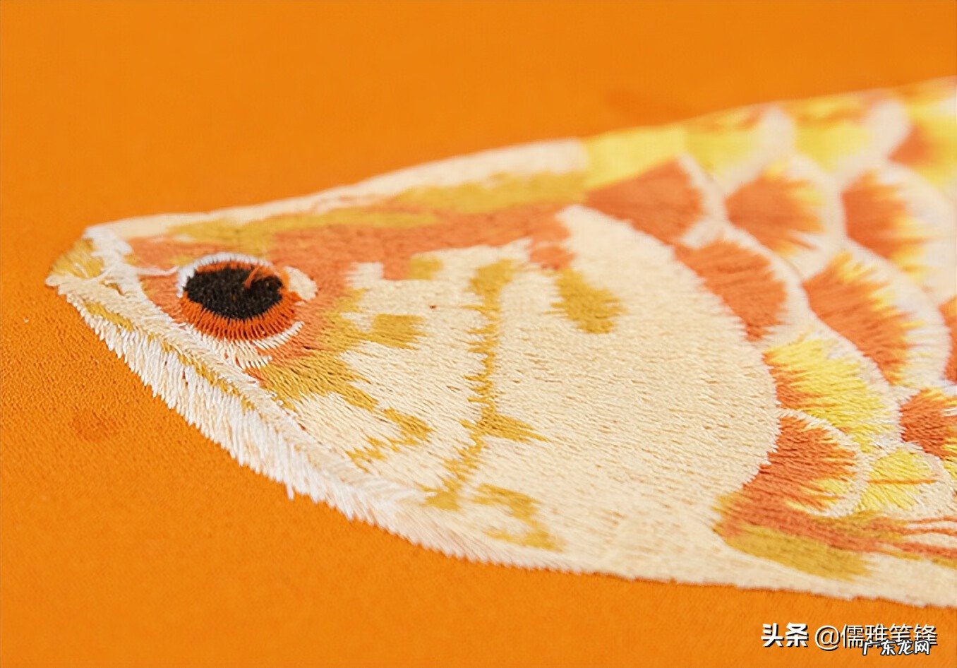 福龙鱼对风水有什么影响 风水中金龙是何作用