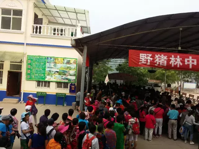 坟地风水宝地怎么看怎么了解 犀牛望月祖坟风水