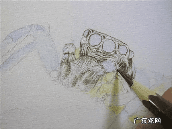 蜘蛛怎么画3d 3D蜘蛛