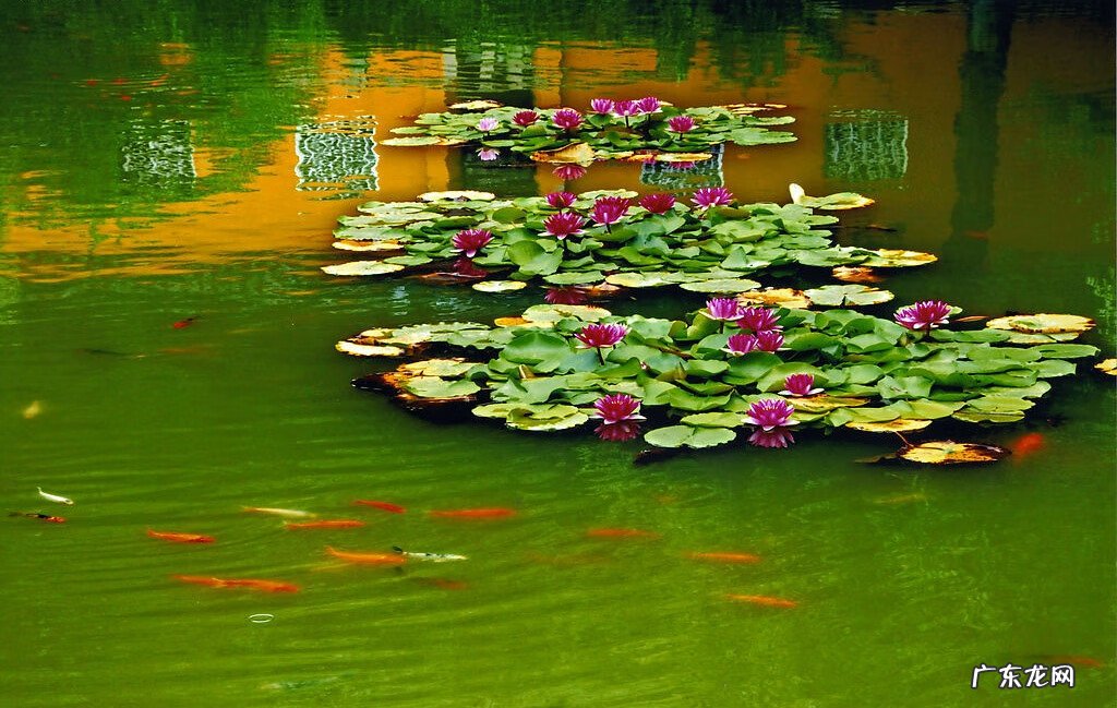 吴家群名 风水大师吴姓