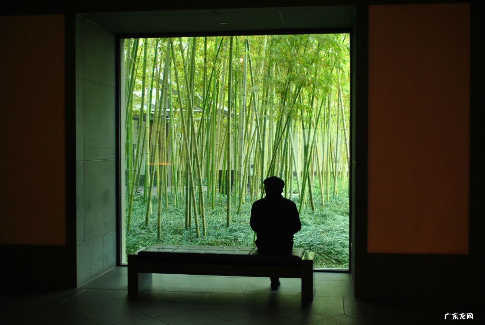 吴家群名 风水大师吴姓