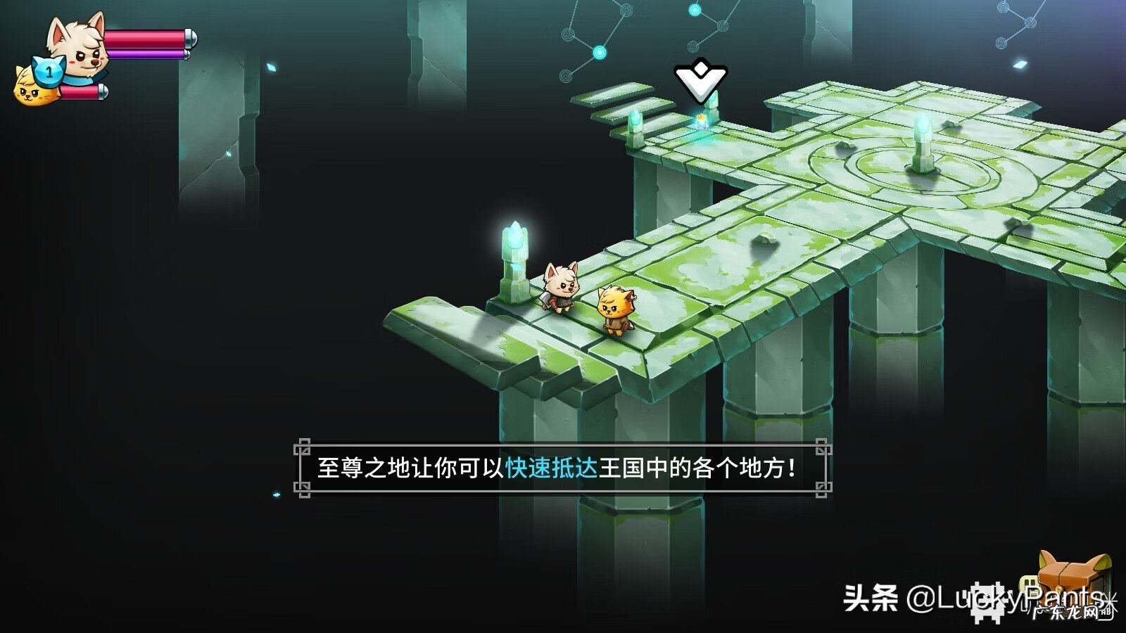 狗狗大战猫咪游戏 猫狗大战的游戏