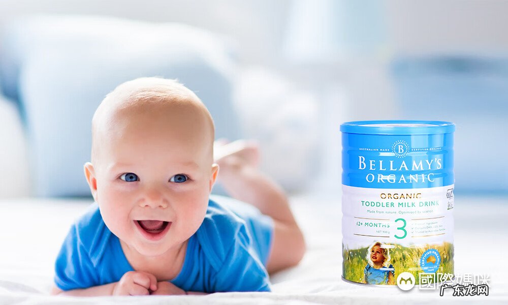 世界奶粉排行榜前十位 奶粉排行榜前十位奶粉品牌