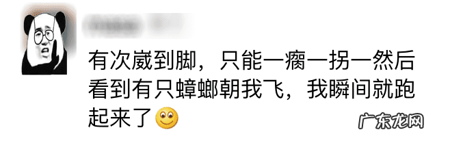 有什么办法灭蟑螂最好 灭蟑螂最好的办法是什么