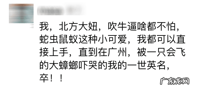 有什么办法灭蟑螂最好 灭蟑螂最好的办法是什么