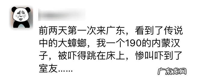 有什么办法灭蟑螂最好 灭蟑螂最好的办法是什么
