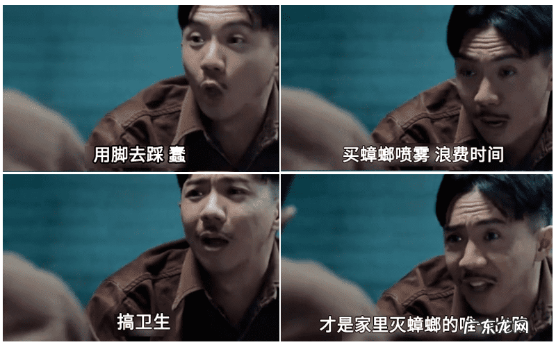 有什么办法灭蟑螂最好 灭蟑螂最好的办法是什么