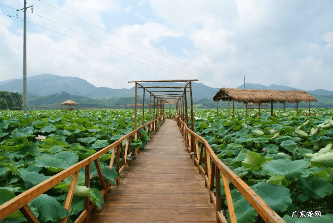广西来宾小平阳风水宝地 宾阳县风水