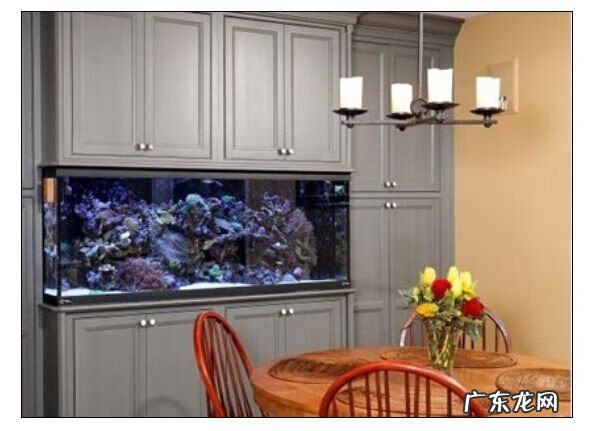 风水鱼缸放什么位置合适 风水鱼缸适合放在什么位置