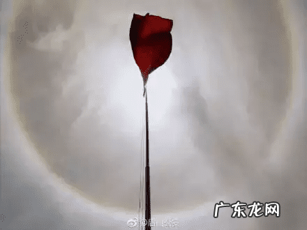 风水说太极晕一般有多大 风水太极晕实景图