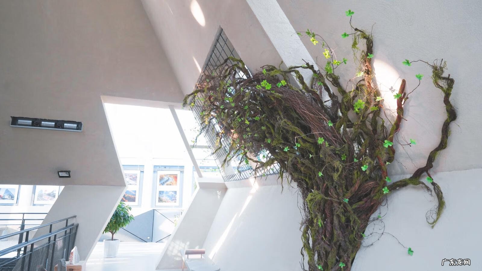 极光世界是哪个公司的 极光世界好玩吗