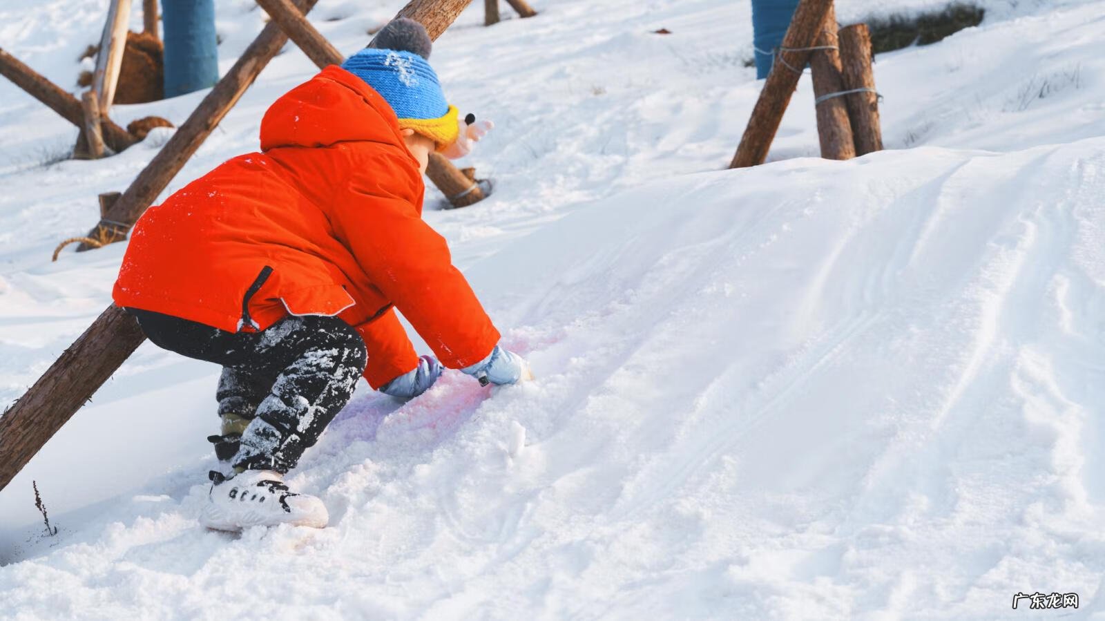 极光世界是哪个公司的 极光世界好玩吗