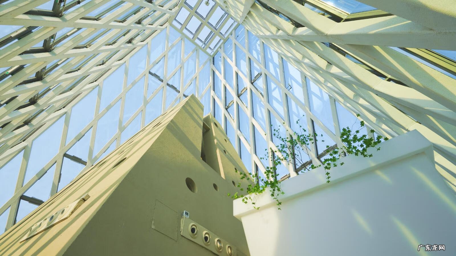 极光世界是哪个公司的 极光世界好玩吗