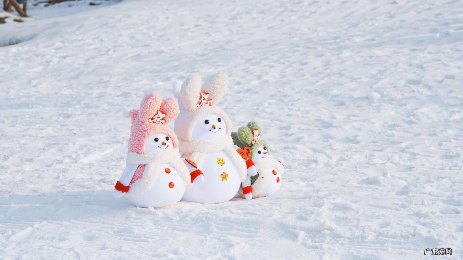 极光世界是哪个公司的 极光世界好玩吗