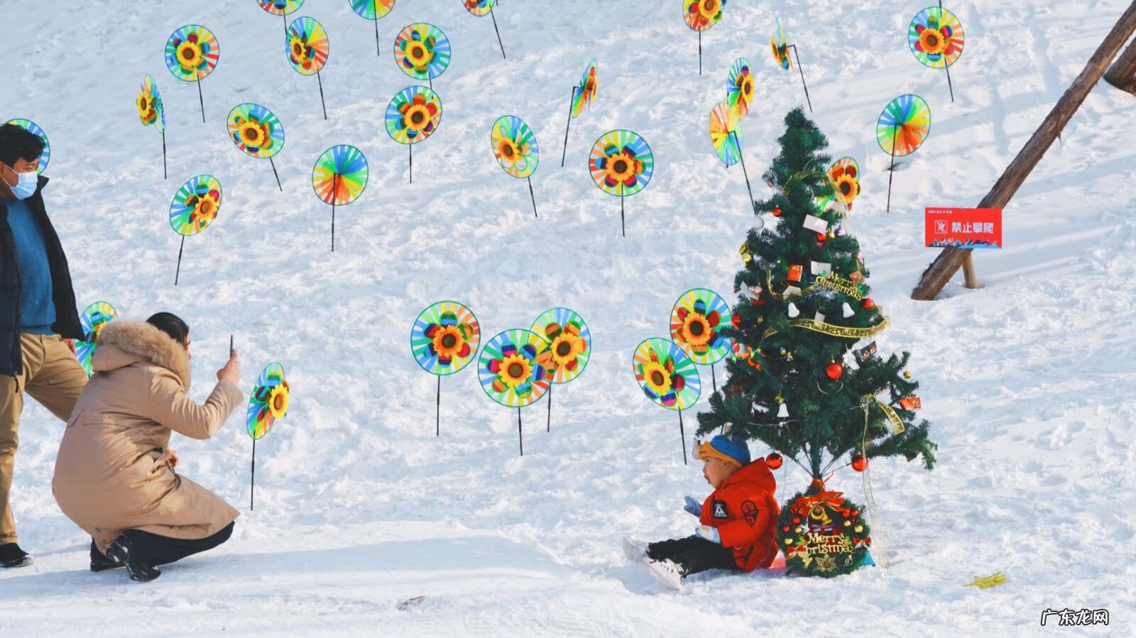 极光世界是哪个公司的 极光世界好玩吗