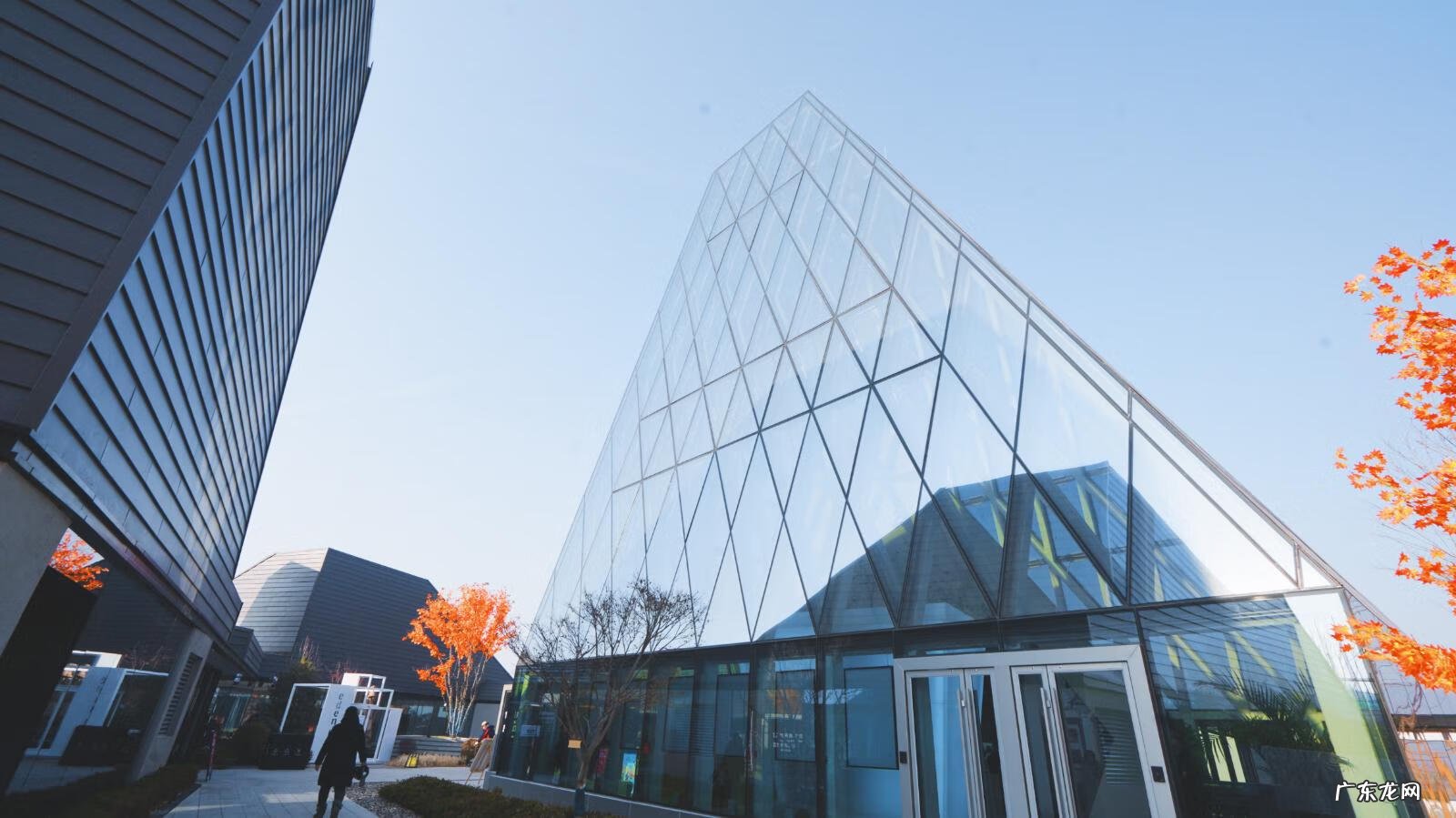 极光世界是哪个公司的 极光世界好玩吗