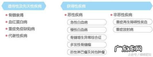脐带血到底要不要存 脐带血保存是骗局吗