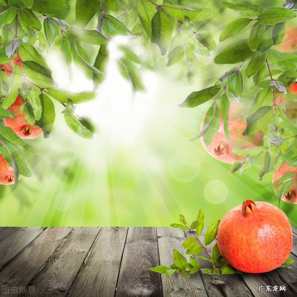 院子里种三棵树讲究 房后三棵树风水好