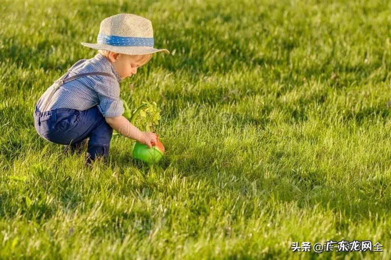 滚球迷宫2破解版 滚球迷宫怎么做