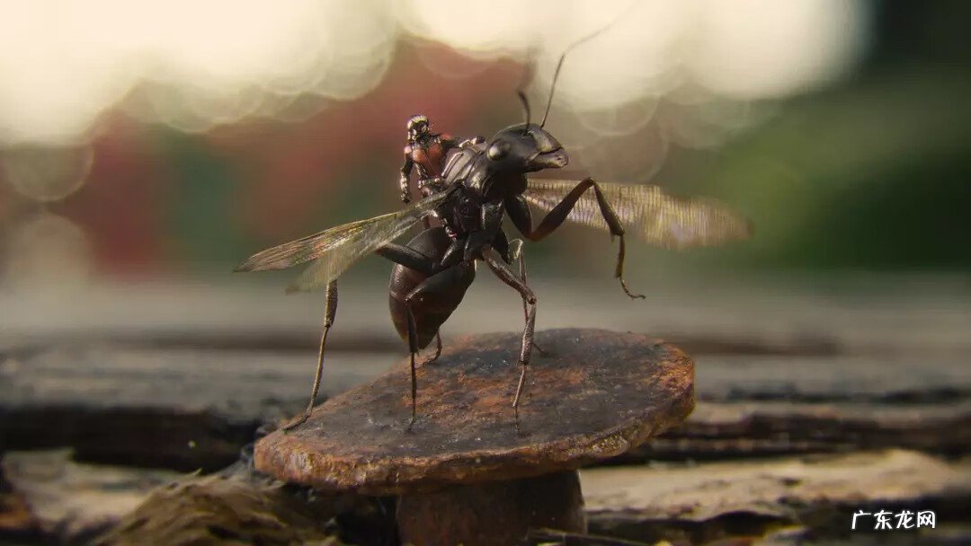 银河护卫队下载链接 银河护卫队2迅雷下载2