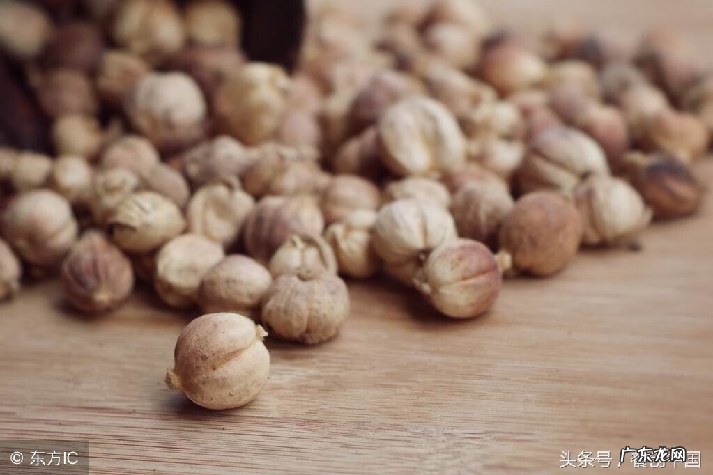 莽草是什么植物 莽草果