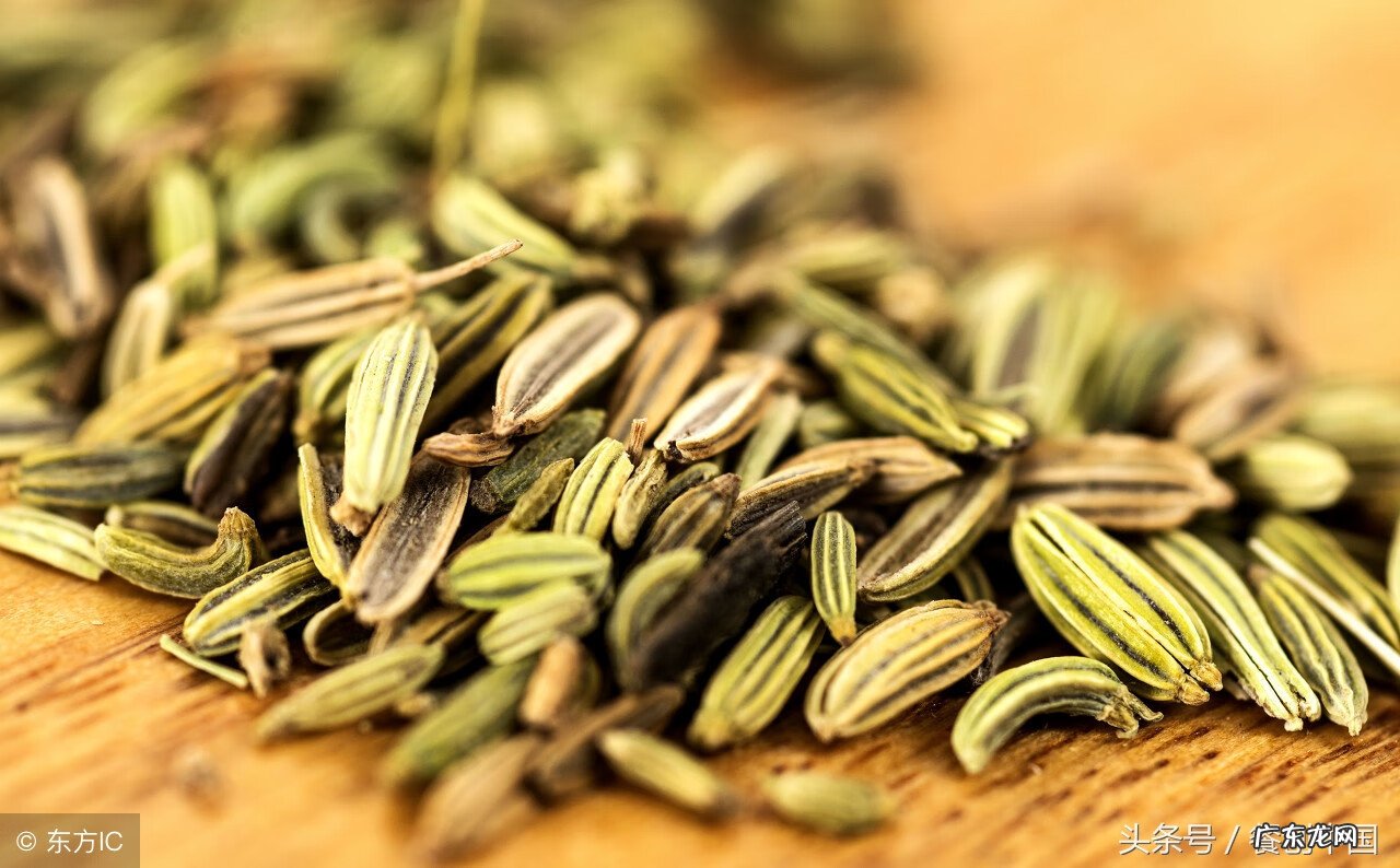 莽草是什么植物 莽草果