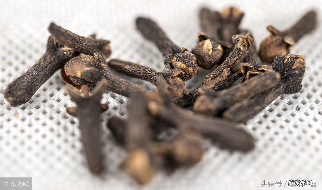 莽草是什么植物 莽草果